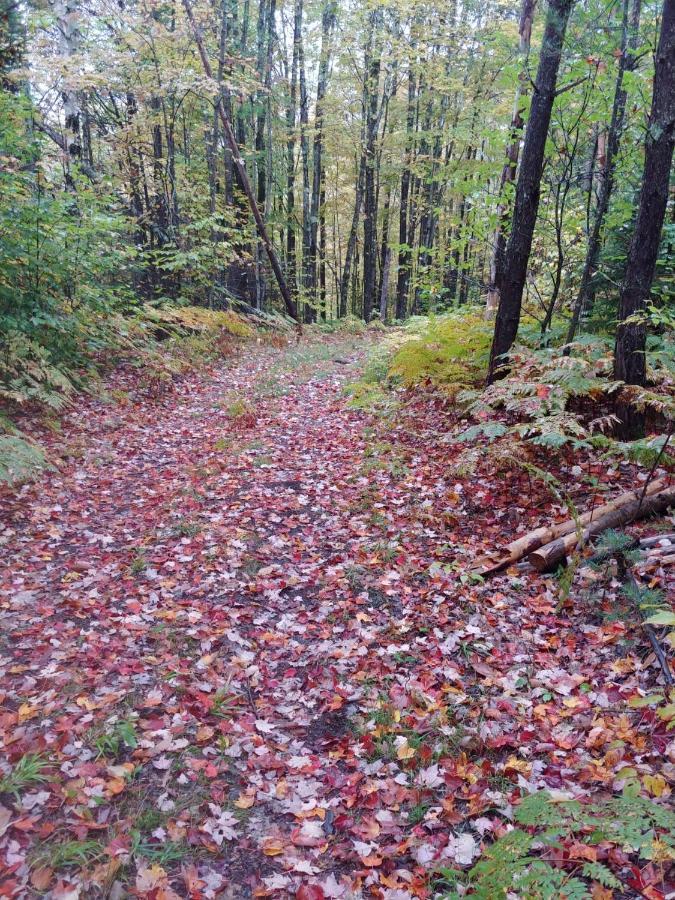 Spacious Country Retreat Close To Town And Nature, Sylvana Farm Vt * Montpelier