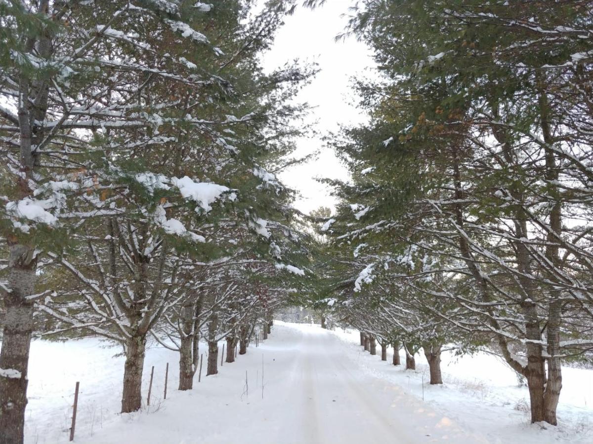 Spacious Country Retreat Close To Town And Nature, Sylvana Farm Vt * Montpelier