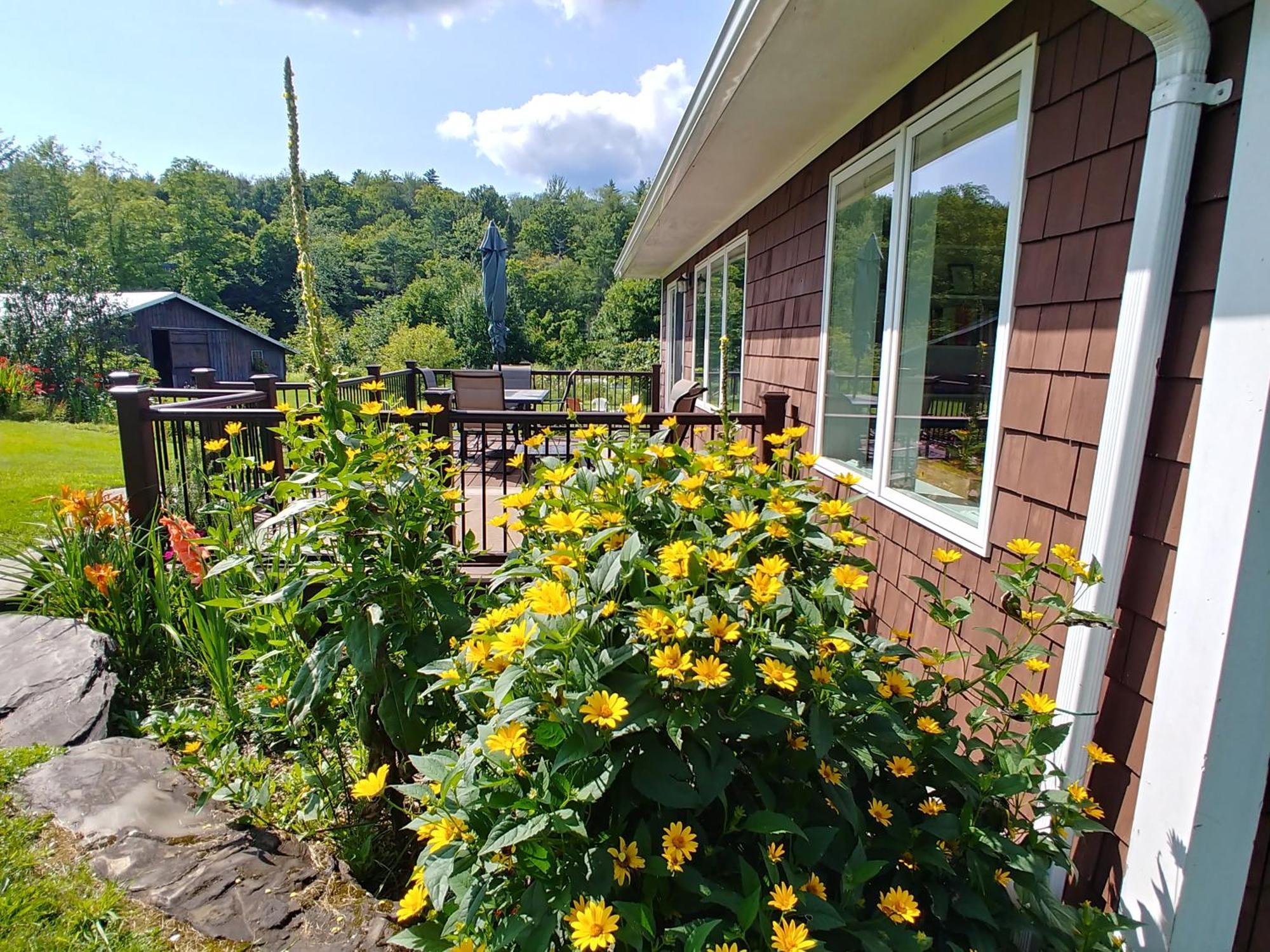 Spacious Country Retreat Close To Town And Nature, Sylvana Farm Vt * Montpelier